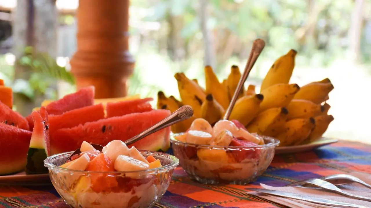 Sumudu Homestay Sigiriya