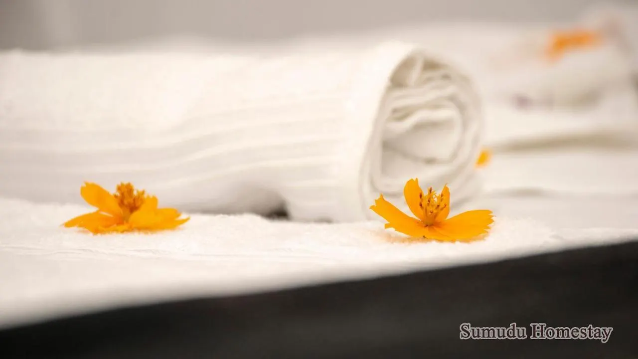 Sumudu Homestay Sigiriya